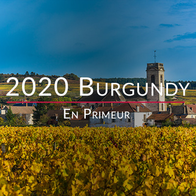 2020 Burgundy En Primeur travel diary part 3