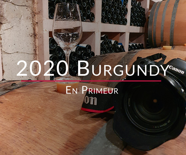 2020 Burgundy En Primeur First Impression