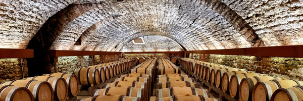 2020 burgundy cellar