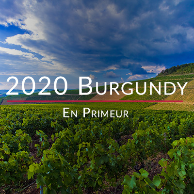 2020 Burgundy En Primeur travel diary part 1