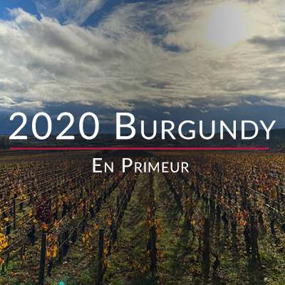 2020 Burgundy En Primeur travel diary part 1