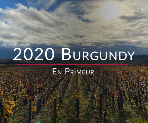 2020 Burgundy En Primeur travel diary part 1