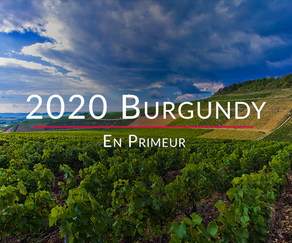 2020 Burgundy En Primeur travel diary part 1