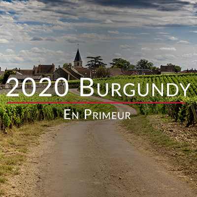2020 Burgundy En Primeur travel diary part 2