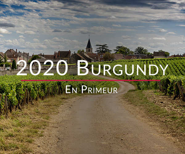 2020 Burgundy En Primeur travel diary part 2