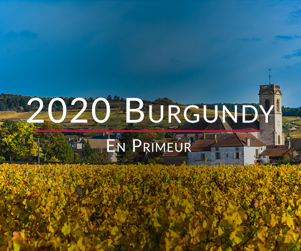 2020 Burgundy En Primeur travel diary part 3
