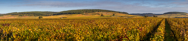 Cote de beaune