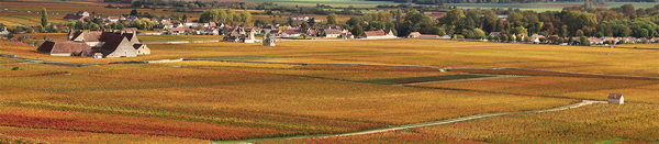 Cotes de Nuits