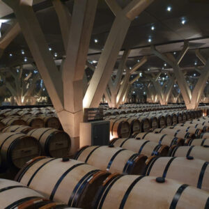 Chateau Tablot Cellar