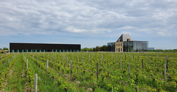 Chateau Pedesclaux
