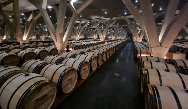 Talbot Wine cellar