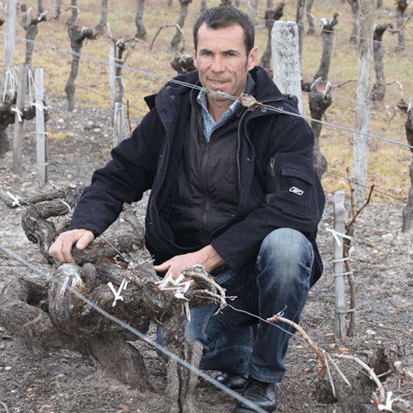 Clos-Manou-Stephane-Dief-Old-vines-600