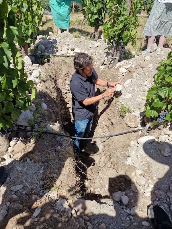 Hole in the soil vineyard