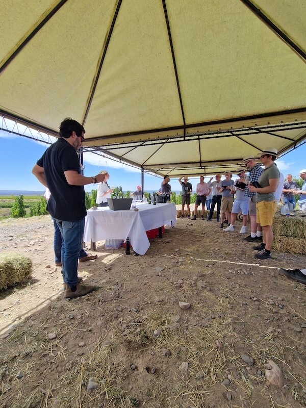 Drinks in the vineyard Zuccardi