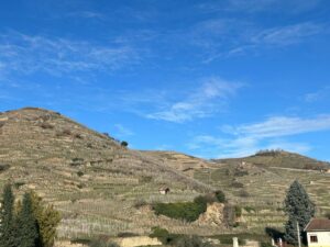 Hills of the Rhône