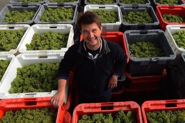 Franck Bonville harvest