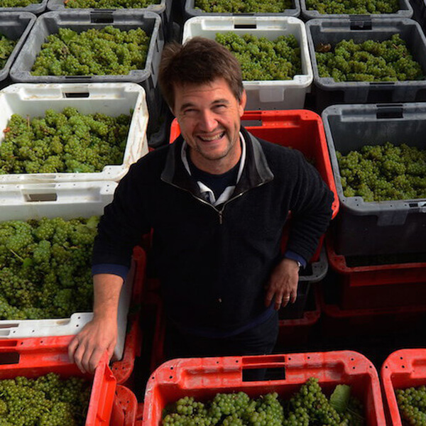 Franck Bonville harvest
