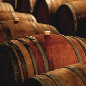 Oak barrel wine cellar 
