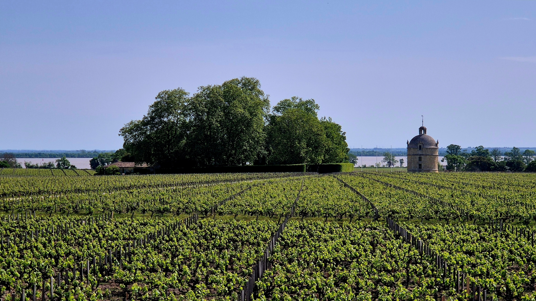 The view from Pichon Lalande towards the Gironde, overlooking Château Latour