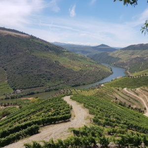 Pinhao in the douro valley