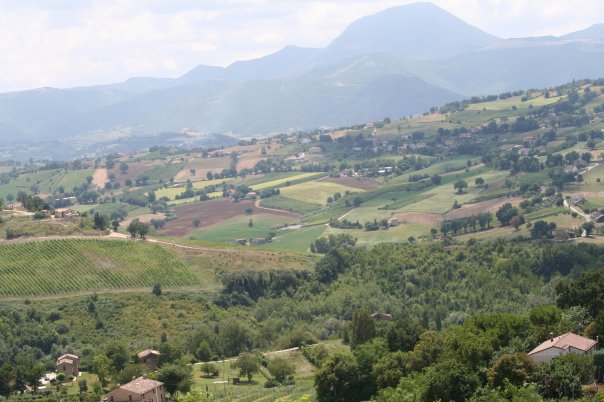 Azienda-Agricola-Andrea-Felici