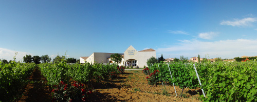 Domaine-Pierre-Belle