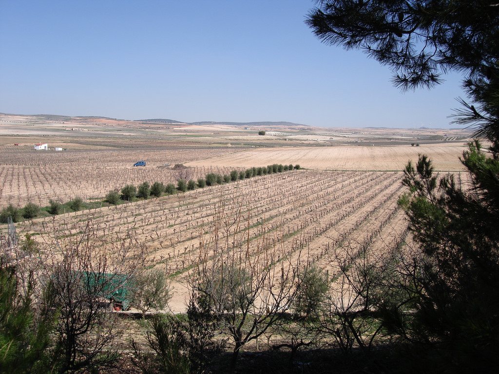 Bodegas-Roqueta