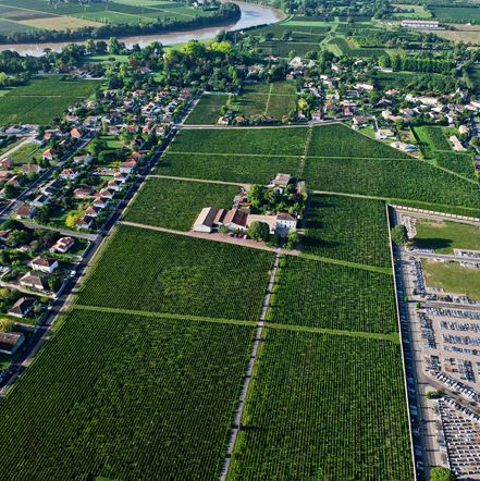 Château-Quinault-l'Enclos