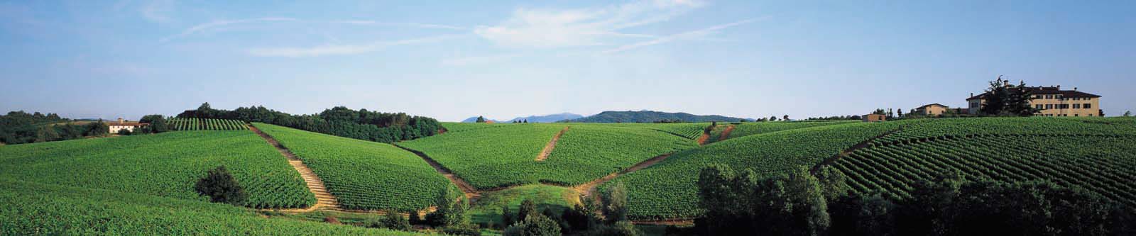 Tenuta-la-Marchesa