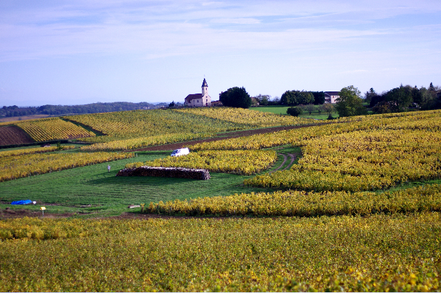 Domaine-de-la-Bon-Gran