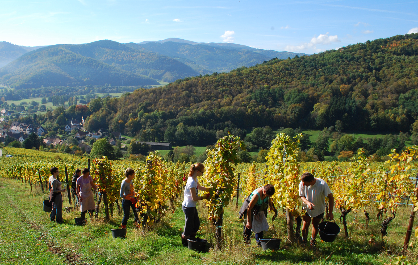 Domaine-Schoenheitz