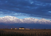 Bodegas-y-Vinedos-O.Fournier