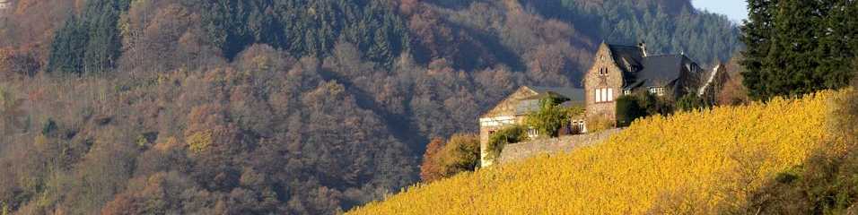 Weingut-Dr-Siemens