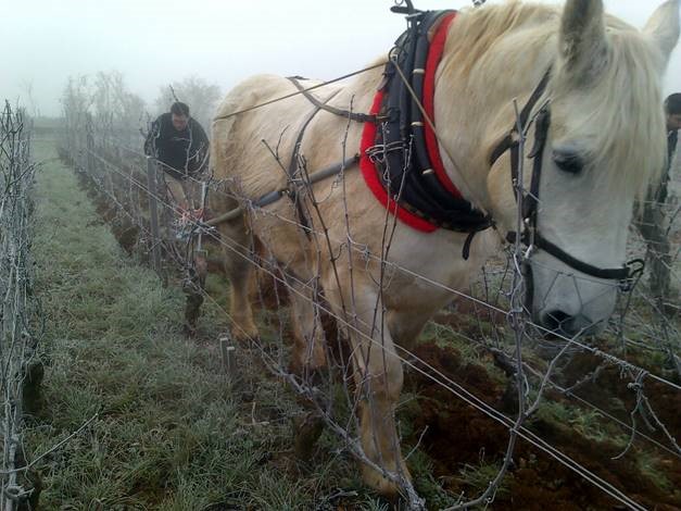 Domaine-Chandon-de-Briailles