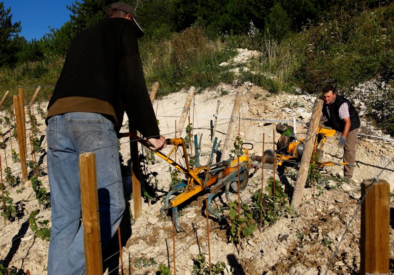 Domaine-Hubert-Lamy