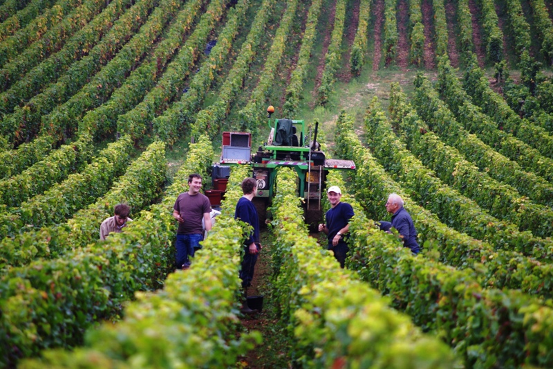 Domaine-Stéphane-Magnien
