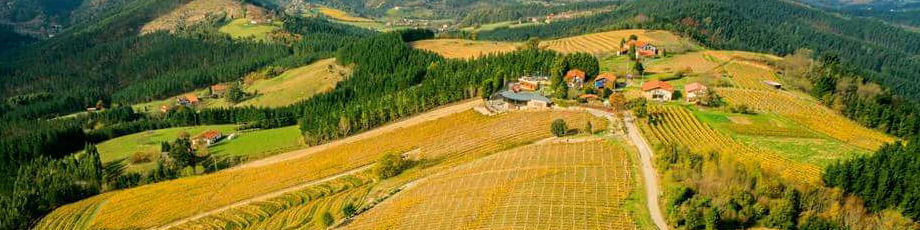 Bodega-Berroja