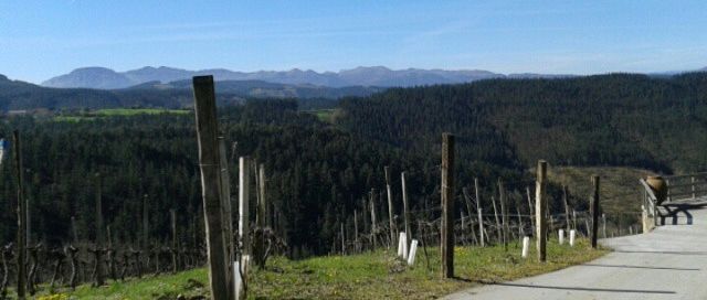 Bodega Berroja