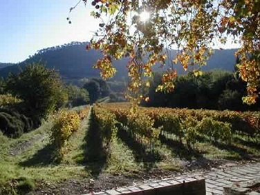 Clos de La Roilette