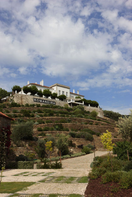 Quinta da Romaneira