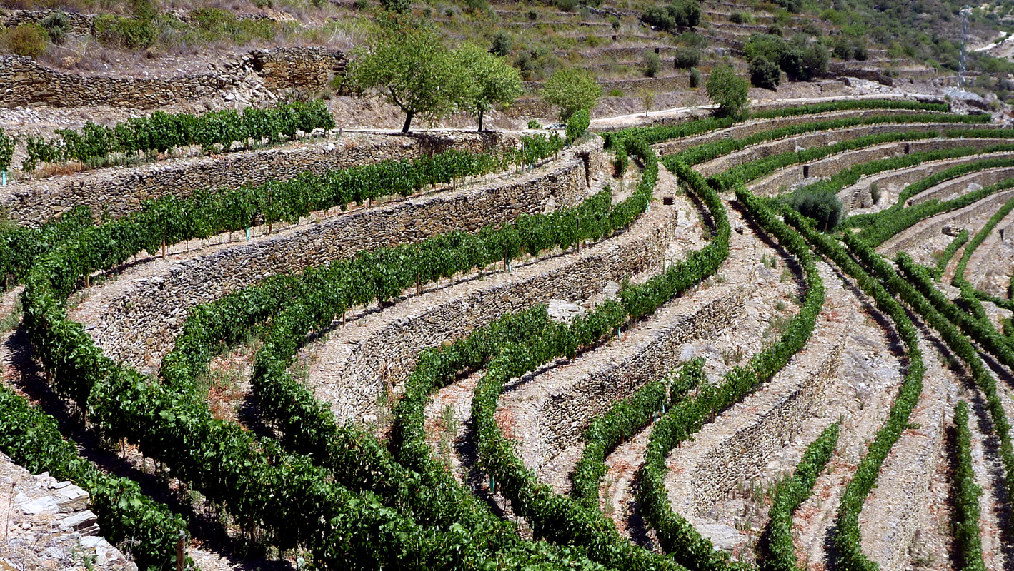 Quinta da Romaneira