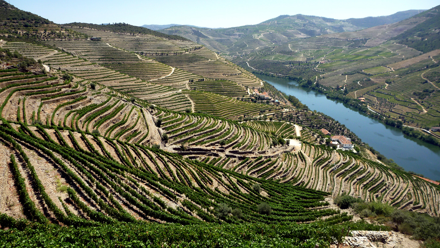 Quinta da Romaneira