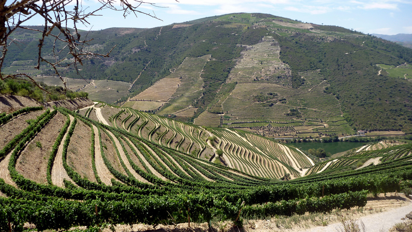 Quinta da Romaneira