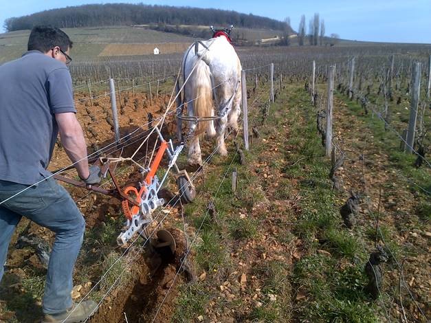 Domaine Chandon de Briailles