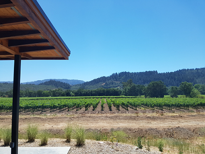 Titus Vineyards