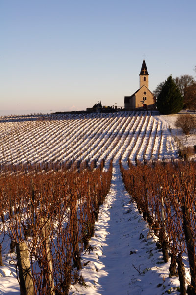 Domaine de la Bon Gran