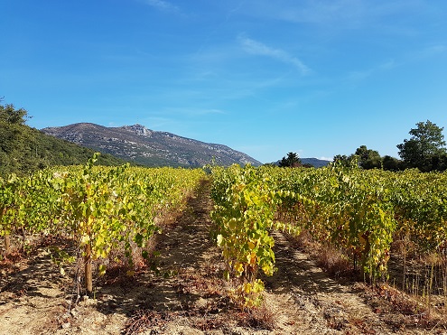 Domaine de La Réserve d'O