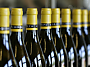 2008-BÂTARD-MONTRACHET-Grand-Cru-Domaine-Joseph-Drouhin