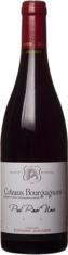 2017 CÔTEAUX BOURGUIGNONS Pur Pinot Noir Domaine Stéphane Magnien
