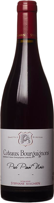 2017 CÔTEAUX BOURGUIGNONS Pur Pinot Noir Domaine Stéphane Magnien, Lea & Sandeman